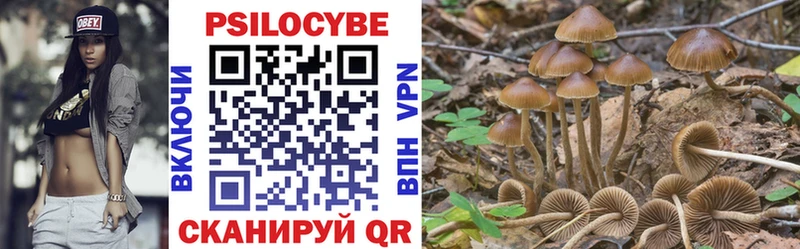 сколько стоит  Советский  Галлюциногенные грибы прущие грибы 
